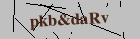 Security image. You must enable images to submit entry