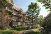 Zecc-Ruimzicht-Den_Haag-housing-innercourtyard.jpg